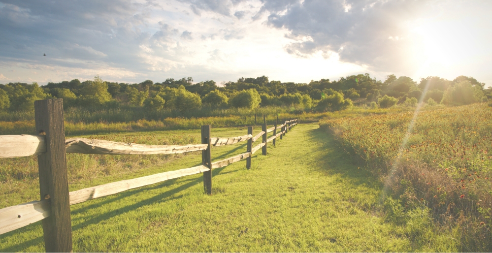 A wooden fence lines a grassy field under partly cloudy skies with sunlight streaming in from the right. Trees and wild vegetation are visible in the background, evoking the peaceful charm of Medina Valley near new homes in Briggs Ranch.