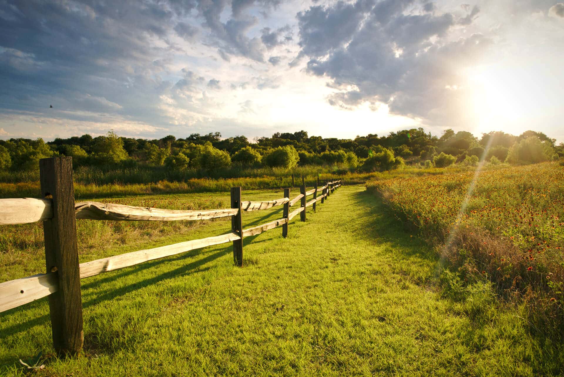A wooden fence runs through a grassy field under a partly cloudy sky, with the sun shining near the horizon—an inviting scene at Briggs Ranch, a master-planned community offering new homes in beautiful natural surroundings.