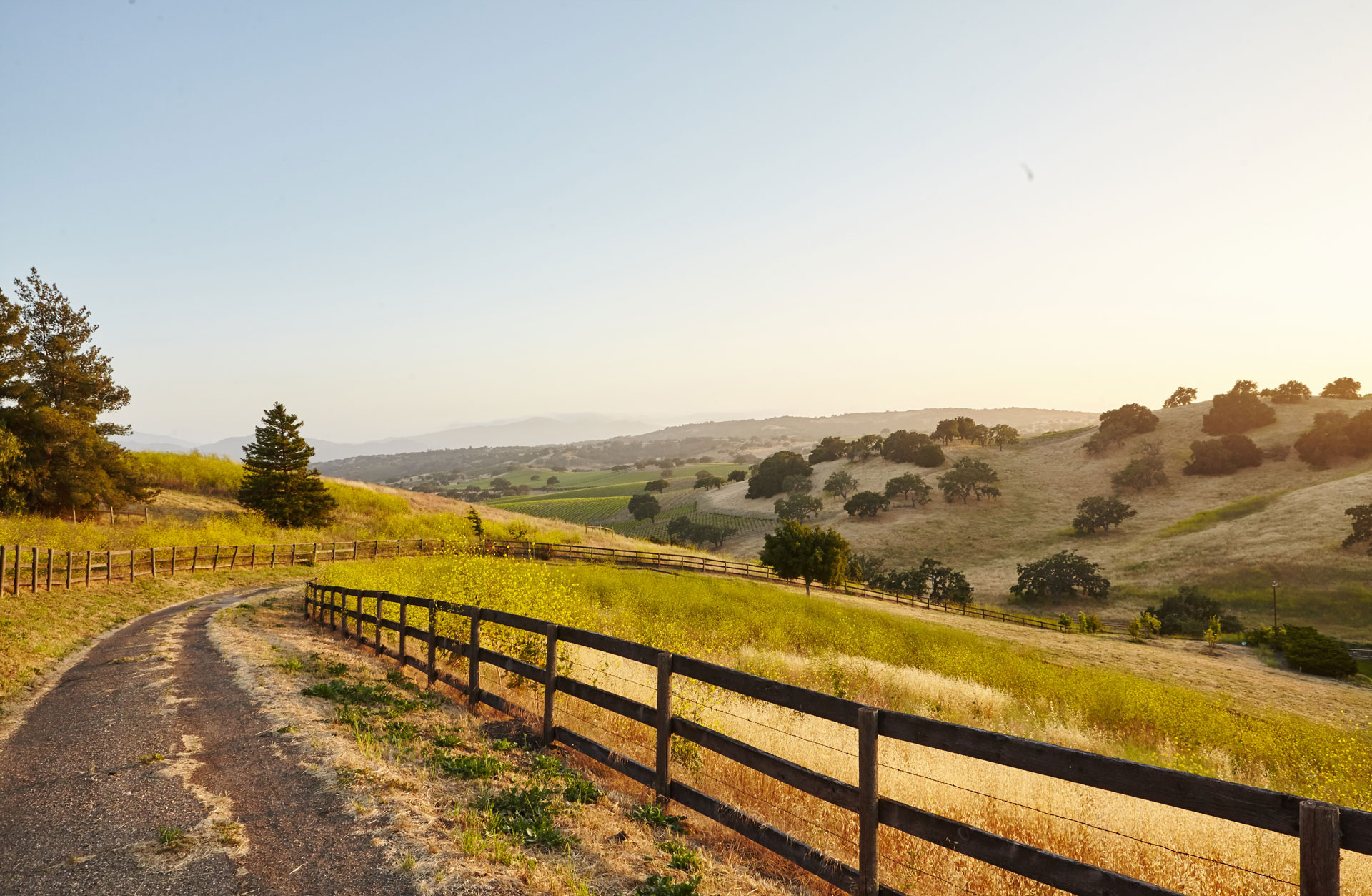 A paved country road curves beside a wooden fence through rolling grassy hills under a clear San Antonio sky at sunset, evoking the charm of a master-planned community.