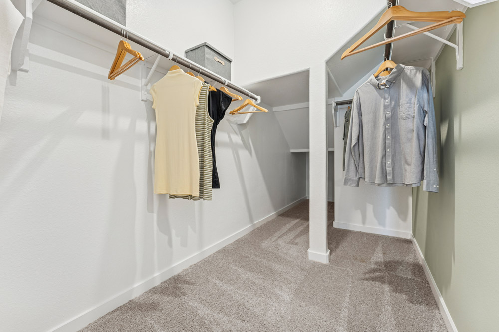 Walk-in closet with hanging clothes, empty hangers, carpeted floor, and storage boxes.