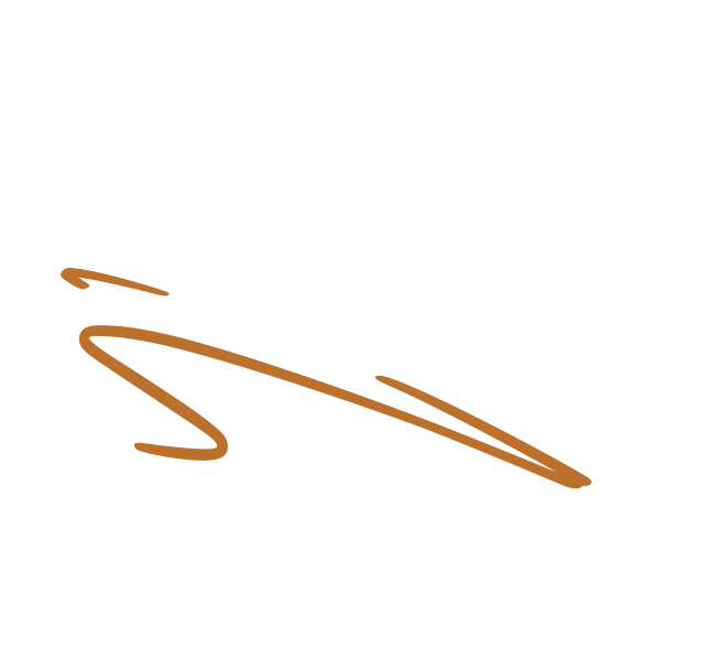 A simple brown zigzag line drawn on a plain white background.